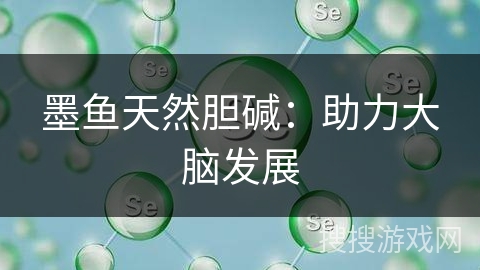 墨鱼天然胆碱:助力大脑发展 墨鱼天然胆碱:助力大脑发展