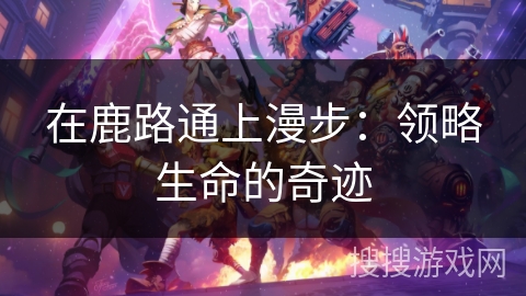 在鹿路通上漫步：领略生命的奇迹