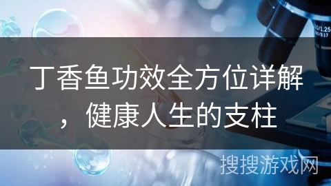 丁香鱼功效全方位详解，健康人生的支柱