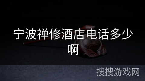宁波禅修酒店电话多少啊