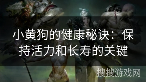 小黄狗的健康秘诀:保持活力和长寿的关键 小黄狗的健康秘诀:保持活力和长寿的关键