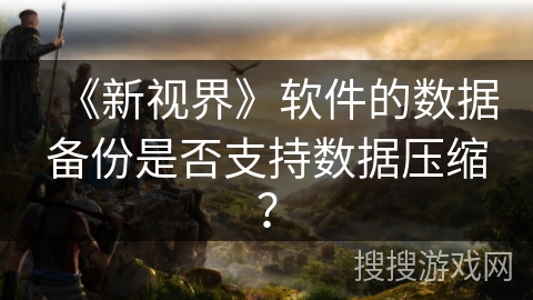 《新视界》软件的数据备份是否支持数据压缩？