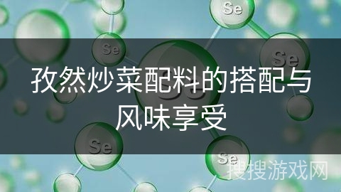 孜然炒菜配料的搭配与风味享受