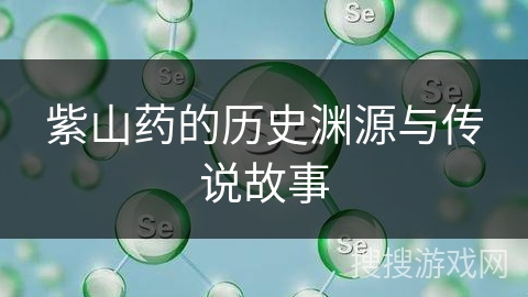 紫山药的历史渊源与传说故事