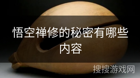 悟空禅修的秘密有哪些内容 悟空禅修的秘密有哪些内容
