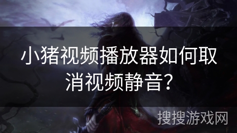 小猪视频播放器如何取消视频静音? 小猪视频播放器如何取消视频静音?