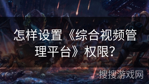 怎样设置《综合视频管理平台》权限？