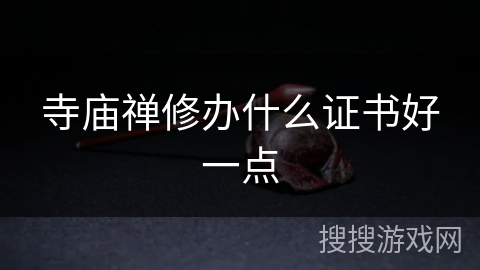 寺庙禅修办什么证书好一点 寺庙禅修办什么证书好一点