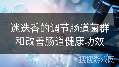 迷迭香的调节肠道菌群和改善肠道健康功效