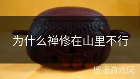 为什么禅修在山里不行