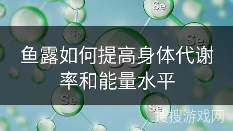 鱼露如何提高身体代谢率和能量水平