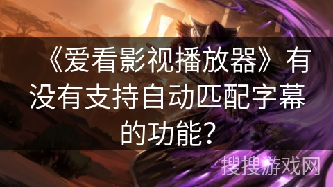 《爱看影视播放器》有没有支持自动匹配字幕的功能？