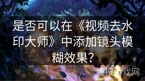 是否可以在《视频去水印大师》中添加镜头模糊效果？