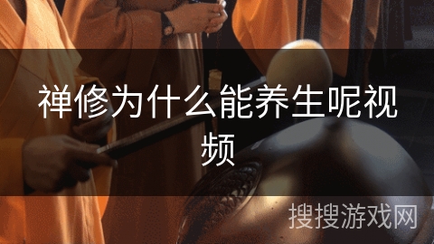 禅修为什么能养生呢视频 禅修为什么能养生呢视频