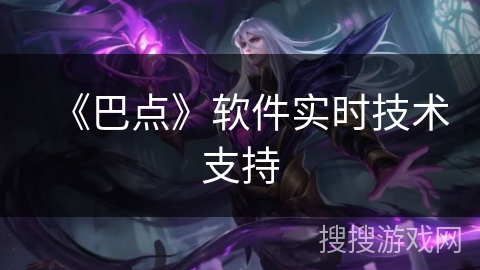 《巴点》软件实时技术支持
