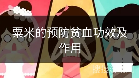粟米的预防贫血功效及作用
