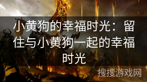 小黄狗的幸福时光:留住与小黄狗一起的幸福时光 小黄狗的幸福时光:留住与小黄狗一起的幸福时光