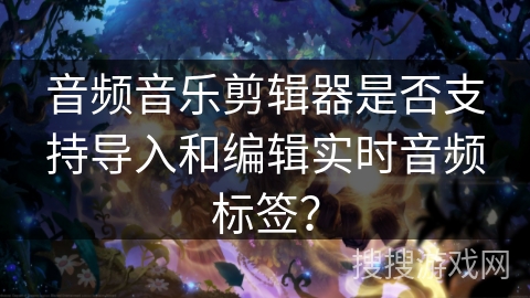 音频音乐剪辑器是否支持导入和编辑实时音频标签？