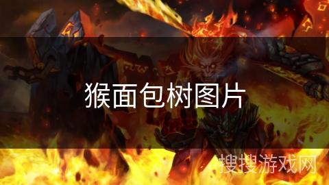猴面包树图片 猴面包树图片