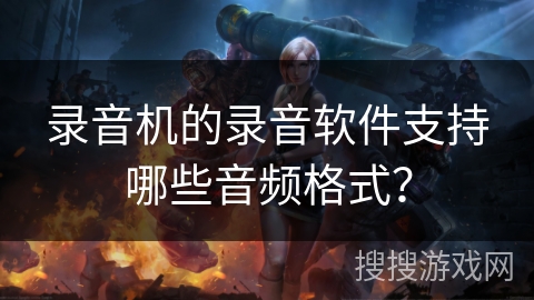 录音机的录音软件支持哪些音频格式？