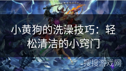 小黄狗的洗澡技巧:轻松清洁的小窍门 小黄狗的洗澡技巧:轻松清洁的小窍门