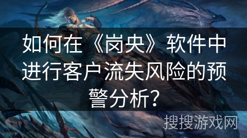 如何在《岗央》软件中进行客户流失风险的预警分析？