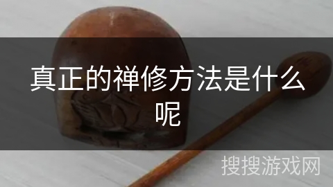 真正的禅修方法是什么呢 真正的禅修方法是什么呢