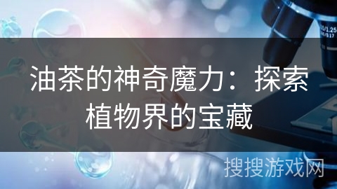 油茶的神奇魔力：探索植物界的宝藏