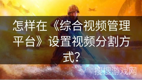 怎样在《综合视频管理平台》设置视频分割方式？