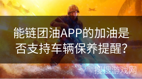 能链团油APP的加油是否支持车辆保养提醒？