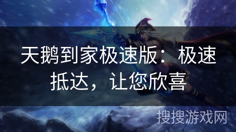 天鹅到家极速版：极速抵达，让您欣喜