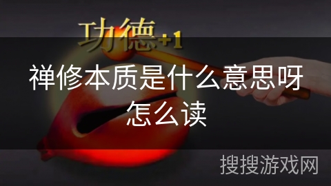 禅修本质是什么意思呀怎么读