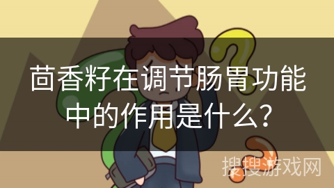 茴香籽在调节肠胃功能中的作用是什么？