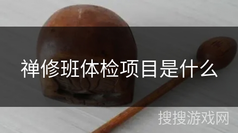 禅修班体检项目是什么 禅修班体检项目是什么