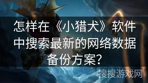 怎样在《小猎犬》软件中搜索最新的网络数据备份方案? 怎样在《小猎犬》软件中搜索最新的网络数据备份方案?