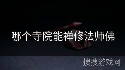 哪个寺院能禅修法师佛