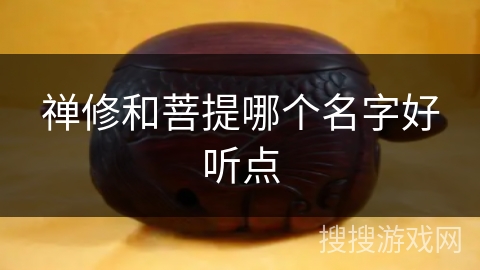 禅修和菩提哪个名字好听点