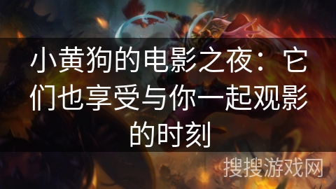 小黄狗的电影之夜:它们也享受与你一起观影的时刻 小黄狗的电影之夜:它们也享受与你一起观影的时刻