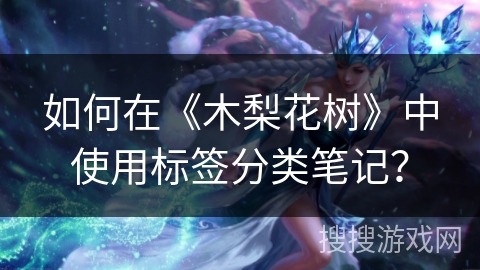 如何在《木梨花树》中使用标签分类笔记？