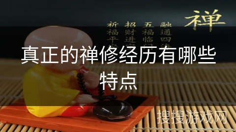 真正的禅修经历有哪些特点
