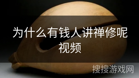 为什么有钱人讲禅修呢视频 为什么有钱人讲禅修呢视频