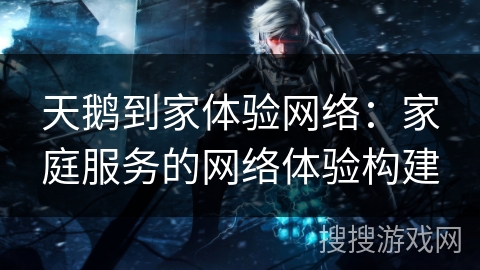 天鹅到家体验网络:家庭服务的网络体验构建 天鹅到家体验网络:家庭服务的网络体验构建
