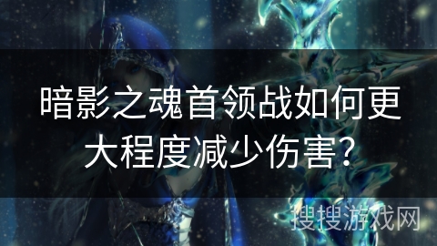 暗影之魂首领战如何更大程度减少伤害? 暗影之魂首领战如何更大程度减少伤害?