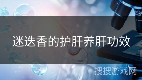 迷迭香的护肝养肝功效