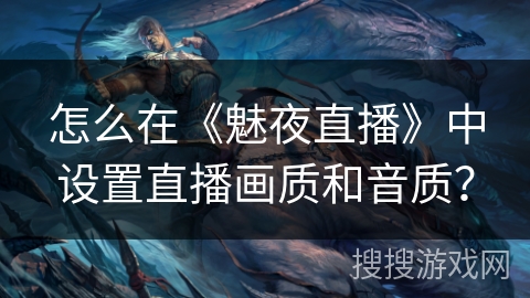 怎么在《魅夜直播》中设置直播画质和音质? 怎么在《魅夜直播》中设置直播画质和音质?
