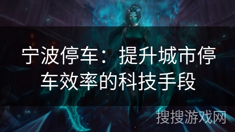 宁波停车：提升城市停车效率的科技手段