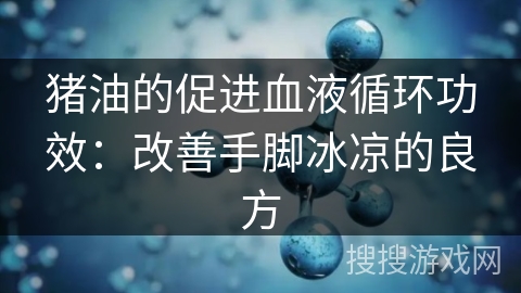 猪油的促进血液循环功效：改善手脚冰凉的良方