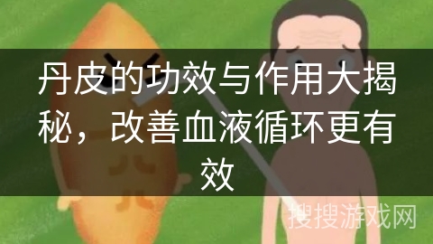 丹皮的功效与作用大揭秘，改善血液循环更有效