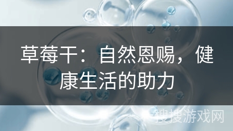 草莓干：自然恩赐，健康生活的助力