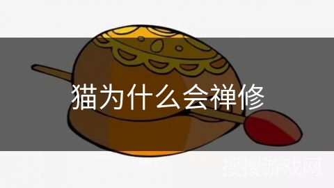 猫为什么会禅修 猫为什么会禅修